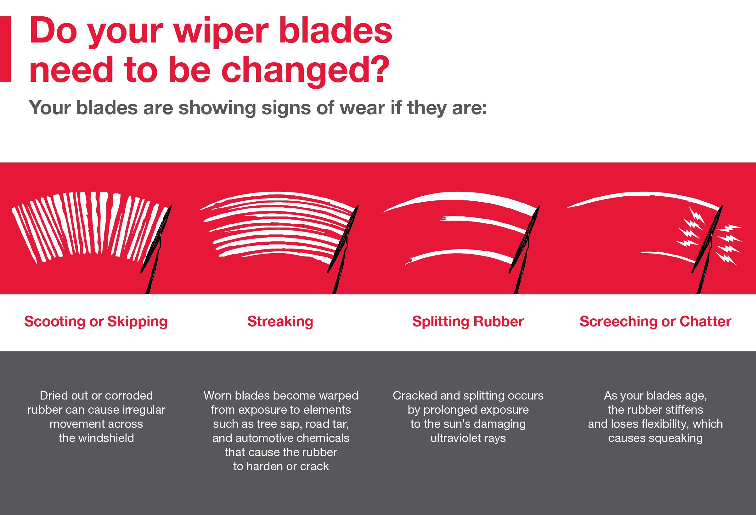 Do your wiper blades need to be changed | Dan Hecht Toyota in Effingham IL
