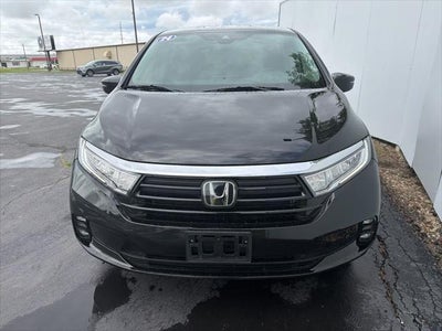 2024 Honda Odyssey Elite